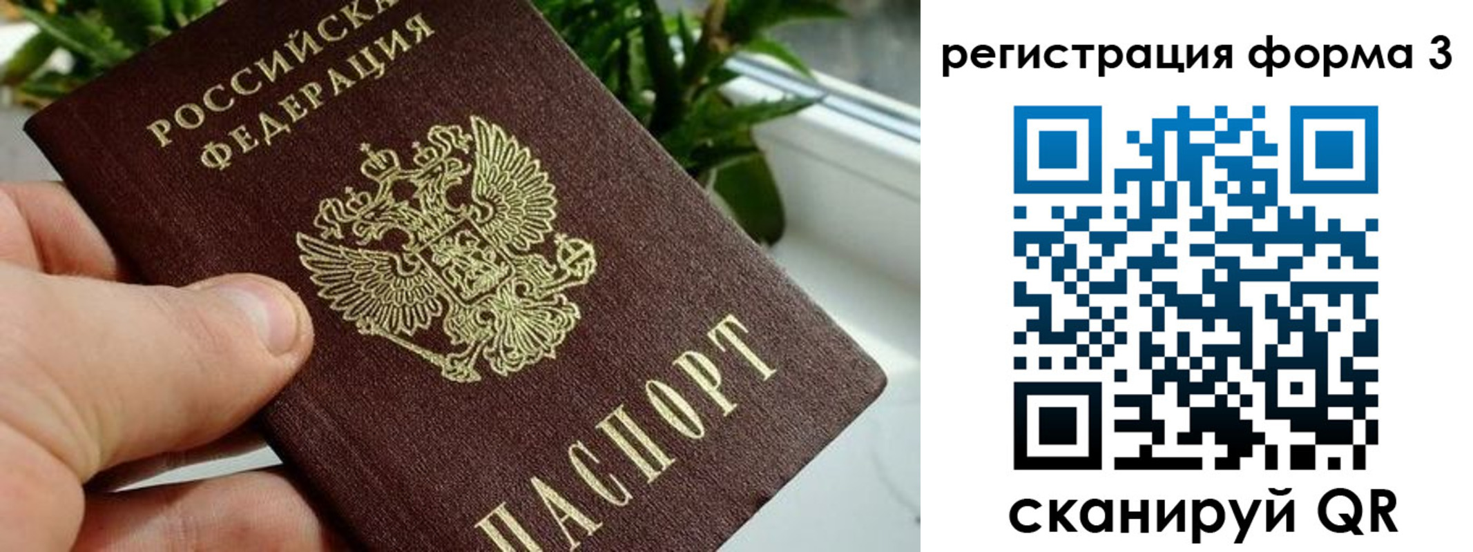 прописка штамп в Могочи